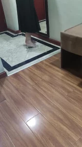 快穿骚受的Y荡日记(H)